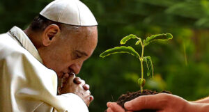Em setembro, Papa pede oração e respeito ao meio ambiente: não ao saque, sim à partilha